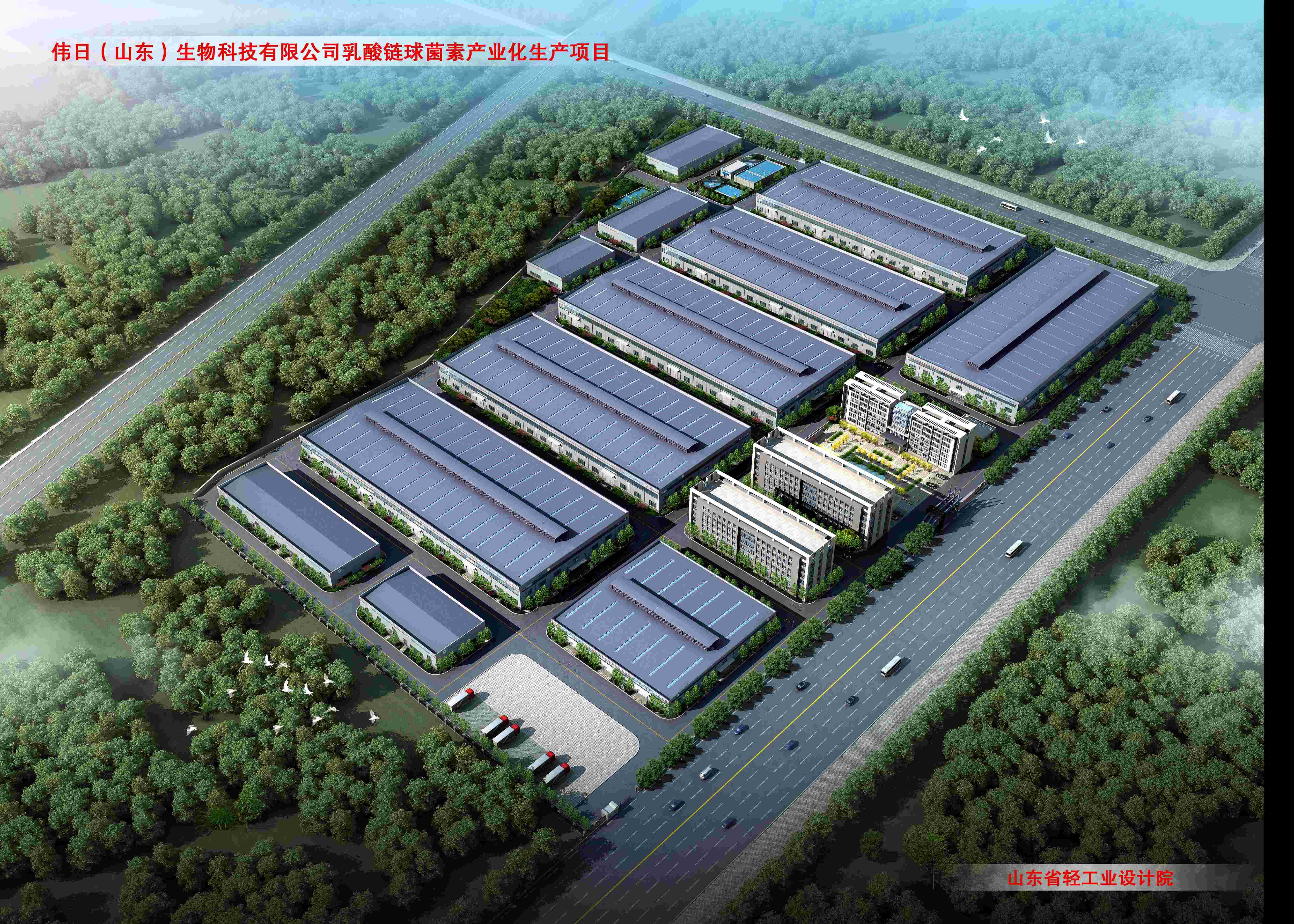 偉日（山東）生物科技乳酸鏈球菌素產業(yè)化項目